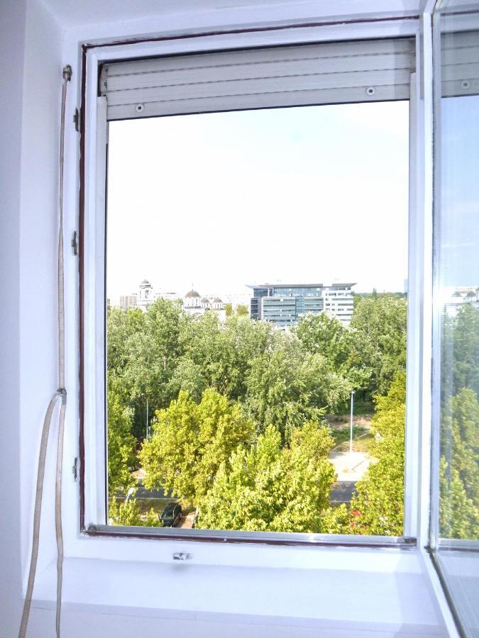 Arena Dream Studio Belgrad Exteriör bild